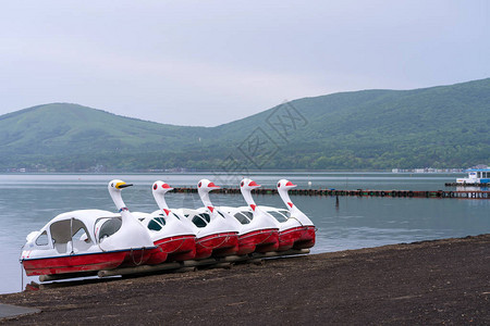 Kawaguchiko湖富士山的鸭子护航艇是一个受欢迎的背景图片