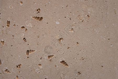 coquina背景老化石砂岩砌块用沙子和贝壳制成的砖块的粗糙质地图片