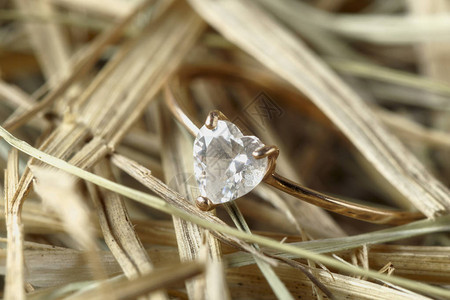 塞纳河照片上的钻石戒指图片