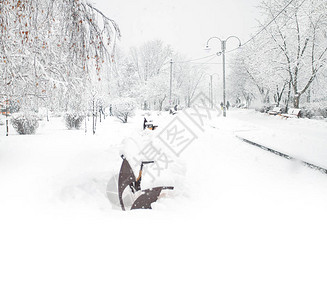 冬天的美丽公园里的树木覆盖着雪与人的剪影孤独的概念图片