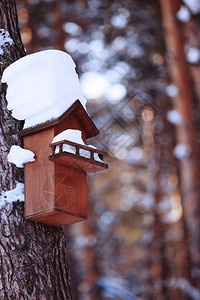覆盖着雪的鸟舍挂在一棵树上软焦点图片