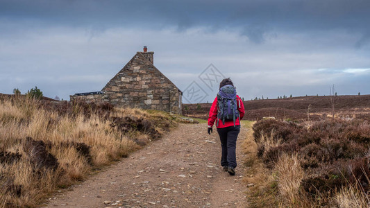 身穿红色外套的女士在苏格兰Cairngorms公园朝RyvoanBo图片