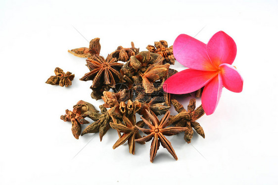 香料明星Anise水果和粉红色花朵在白色背景上被孤立星光耀眼的BadianKhatai图片