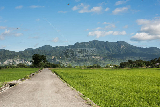 农场道路的乡村景观图片