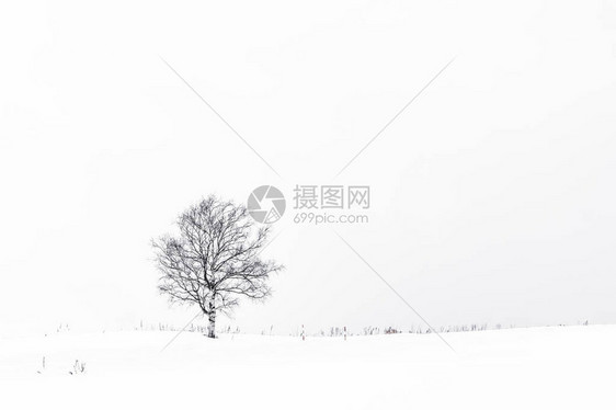 美丽的户外风景冬季雪图片