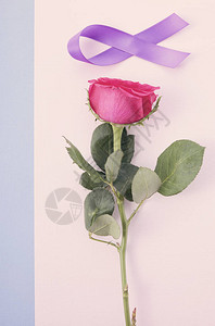 国际妇女节公寓内有粉红玫瑰图片