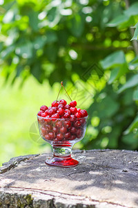 红樱桃在露天树桩上透明的花瓶里樱桃水果在夏日公园里图片