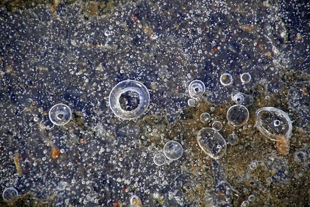 冰脚下冷冻的气泡2月冬背景图片