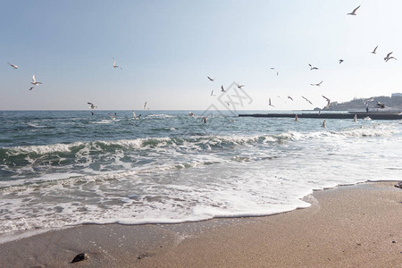 在阳光明媚的春日海滨和海滩和大海浪在沙质和多岩石的海岸上奔跑选择焦点图片