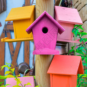 多彩蜂巢箱鸟屋在户外关闭背景上有房屋石图片