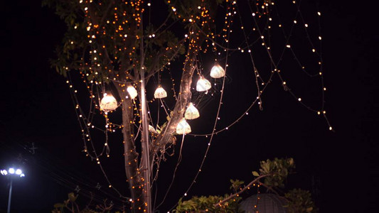 室外背景灯泡在电线上与黄昏森林假日概念灯泡和辉光挂在森林里的树上图片