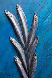 一组凤尾鱼漂浮在蓝色背景垂直相片上捕获于爱奥尼亚海的鱼意大利图片