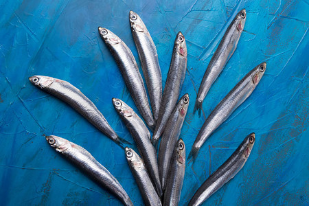 一组凤尾鱼漂浮在蓝色背景垂直相片上捕获于爱奥尼亚海的鱼意大利图片
