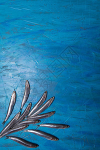 一组凤尾鱼在蓝色背景上漂浮图片