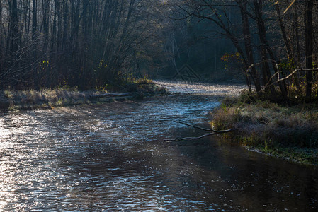秋天的森林河流含深褐色图片