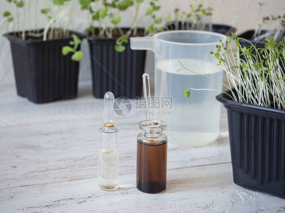 幼苗液体肥料植物育种春季植物护理植图片