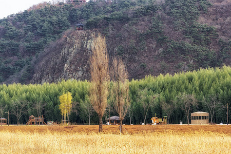 南韩乌尔山Taehwagang公园冬季风景图片