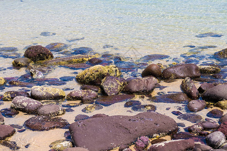 Boyd公园海考克点的岩石海岸线上观察图片