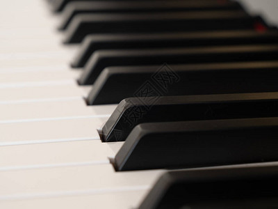 经典钢琴键盘的美丽黑白键特写图片