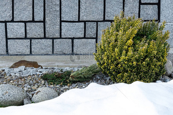 在一堵房屋墙和雪堤的背景下图片