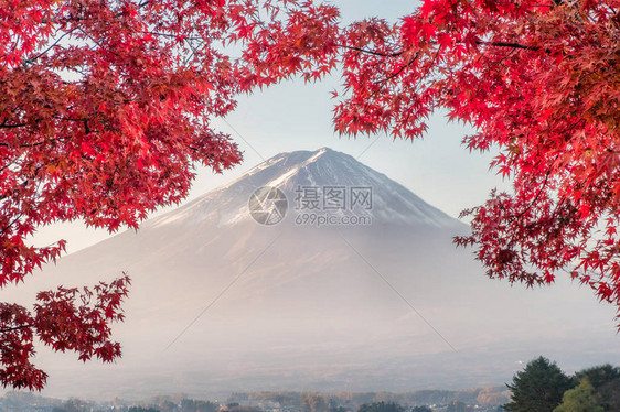 日本河口湖早上红枫叶覆盖的富士山图片
