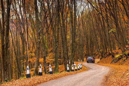 秋天在森林包围下一辆汽车沿一条图片