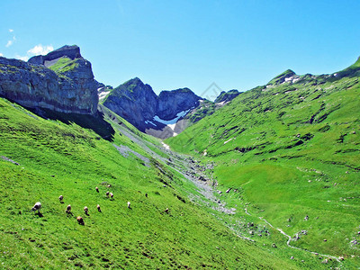 瑞士圣加仑州Alviergruppe山脉和莱茵河谷瑞士圣加仑州的图片