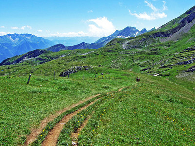 Alviergruppe山脉和莱茵河谷山坡上的高山牧场和草地图片