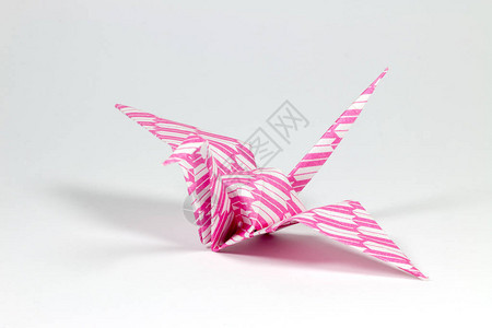 白色背景上的粉红色折纸鸟背景图片