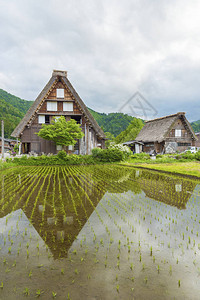 春天的日本白川乡历史村图片