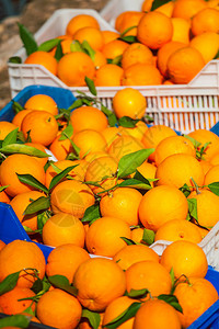 箱装的柑橘柑橘水果水图片