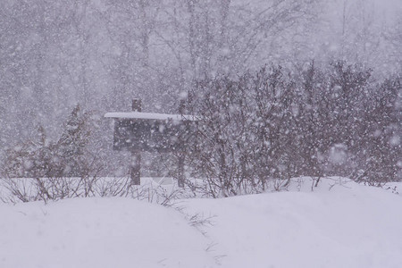 农村地区冬季自然的详细信息单图片