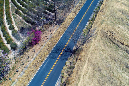 乡村道路的鸟瞰图图片