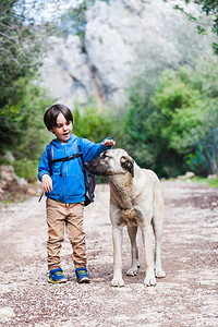 一个背着包的男孩带着狗穿过公园孩子正在抚摸狗牧羊犬和它的主人一起去树林里友图片