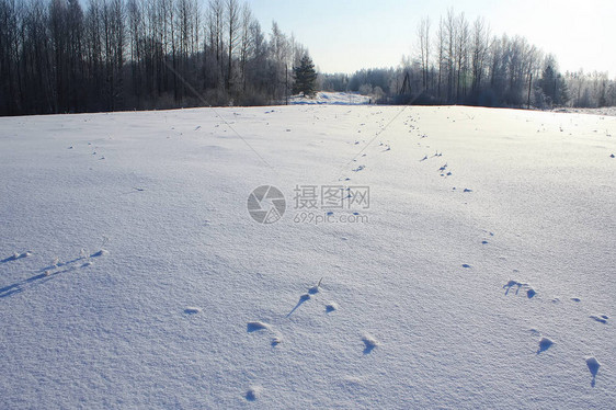 冬天风景雪田表面和阳图片