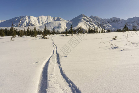 以山为背景的雪地上的滑雪痕迹图片