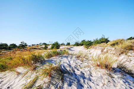 西波美拉尼亚湖地区公园沙丘及其在达尔斯半岛的海滩德国梅克伦堡图片