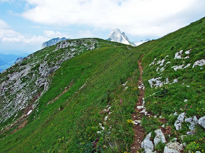 Alpstein山脉斜坡和Thur河谷的高山牧场和草地图片