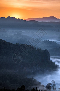黎明时日出在雾图片