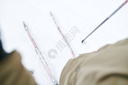 人类在冬季森林里漫步时仰视滑雪的视图片