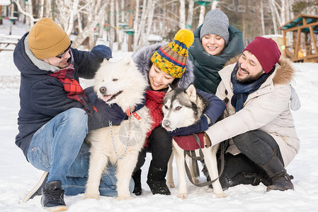 两对夫妇在冬季度假胜地复制空间外与两只漂亮的狗玩图片