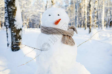 雪人身穿围巾的背景图象在美丽的冬季森林图片