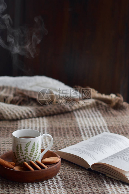 的家庭内部毛毯和一杯蒸汽茶在早晨的阳光下在沙发上吃早餐舒适的秋季或冬季概图片