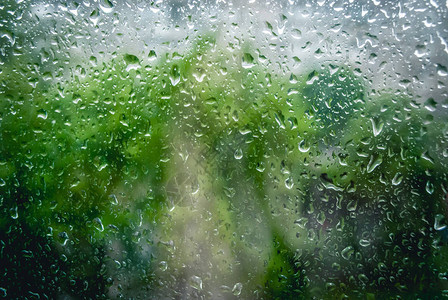 春雨在窗口和绿树背景图片