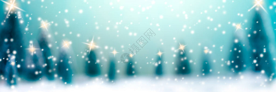 与树木灯光和飘落的雪花圣诞节和概图片