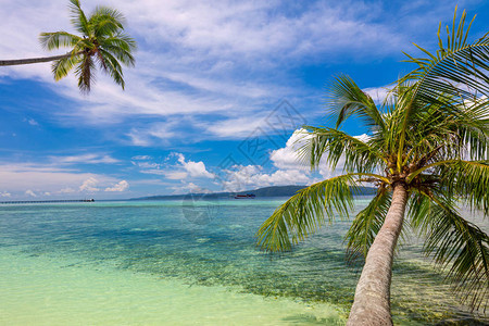 天堂热带海滩背景图片