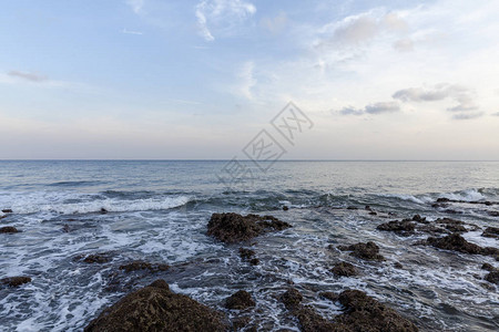 沙滩岩海燕野生风暴海洋波浪海水图片