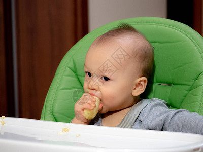 宝用BLW方法吃有机生物香蕉图片