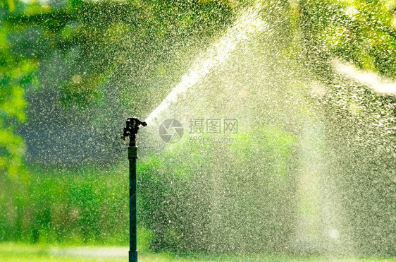 自动草坪洒水器浇灌绿草带自动系统的洒水器花园灌溉系统浇灌草坪可调节喷头的自动喷水灭火系图片