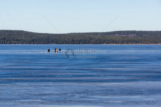 冰湖中的冬季冰钓爱好者正在钓鱼图片